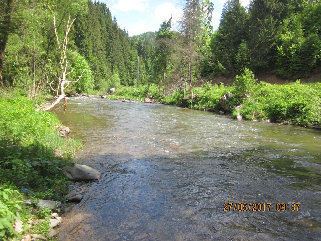 Pensiunea Marydor Gîrda de Sus Extérieur photo